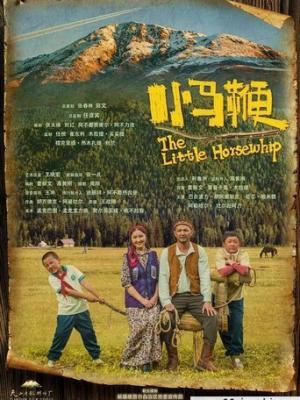 剧情电影《群山回声》官方封面